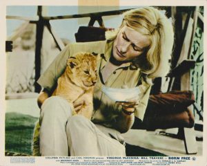 Virginia McKenna with lion cub