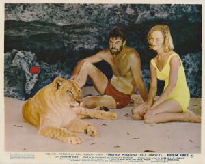 Lioness, Bill Travers and Virginia McKenna