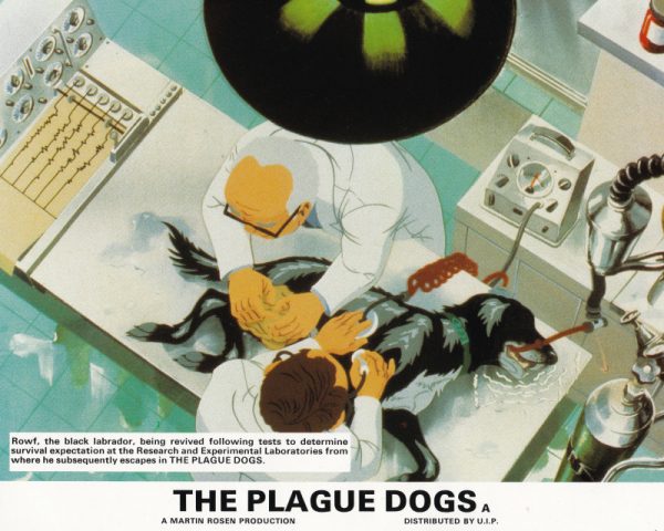 vintage cinema lobby card for The Plague Dogs (1982)