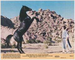 The Black Stallion Returns (1983) USA Lobby Card