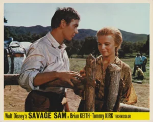 A scene from Savage Sam (1963)