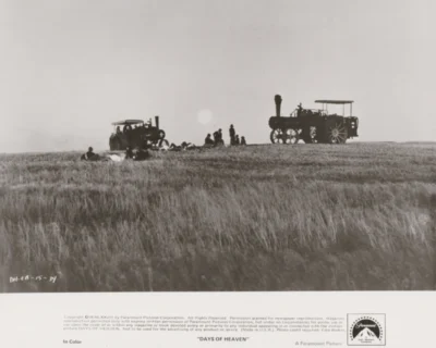 A scene from Terrence Malick's Days of Heaven
