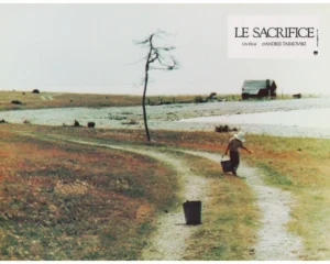 A scene from Andrei Tarkovsky's The Sacrifice (1986)