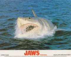 Jaws: The Revenge (1987) British cinema lobby card
