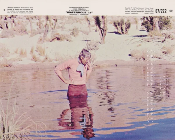 Waterhole #3 (1967) USA Lobby Card #1 NSS 67/272