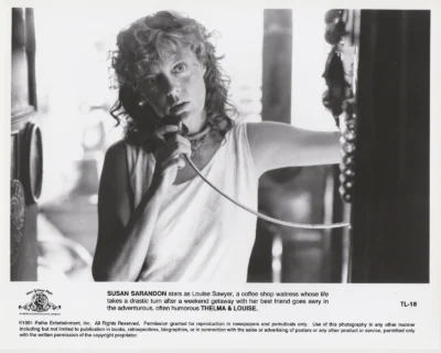 Susan Sarandon in Thelma & Louise