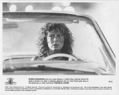 Susan Sarandon in Thelma & Louise