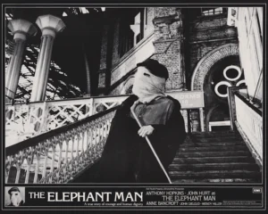 The Elephant Man (1980) Front of House Card [scanned-in image]