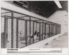 The Plague Dogs (1982) Press Kit Photo ref 2-9 [scanned-in image]